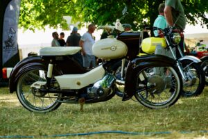 Bild 5. Simsontreffen Gehren